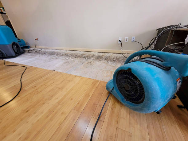 Professional Water Damage Repair technician working in Shenandoah, PA